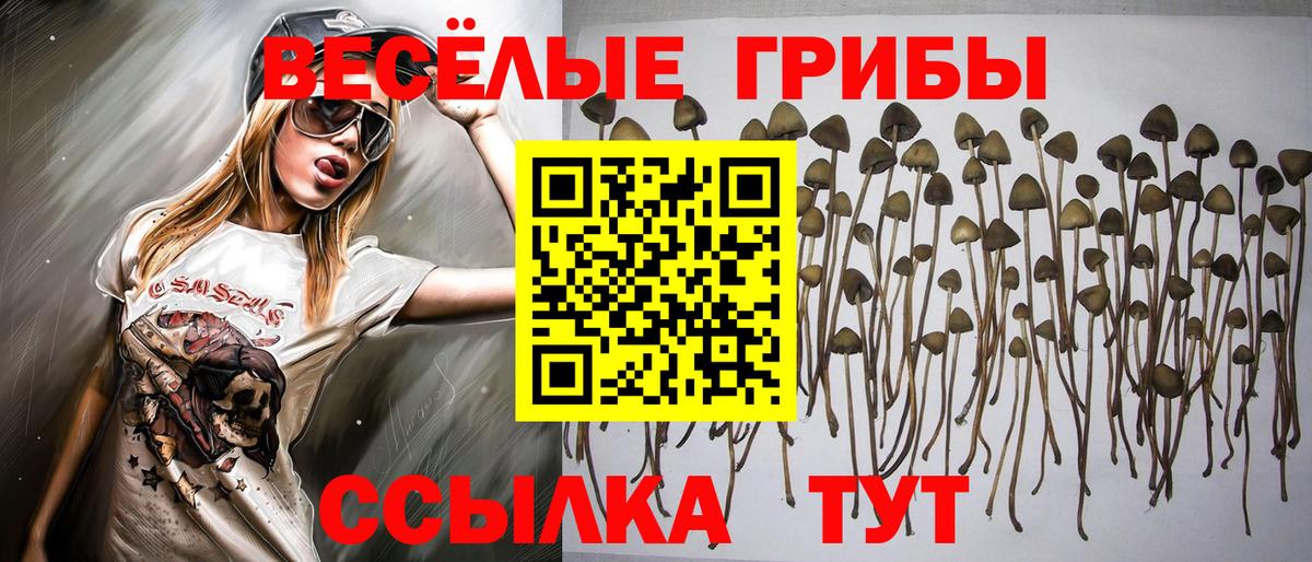 A-PVP Рославль