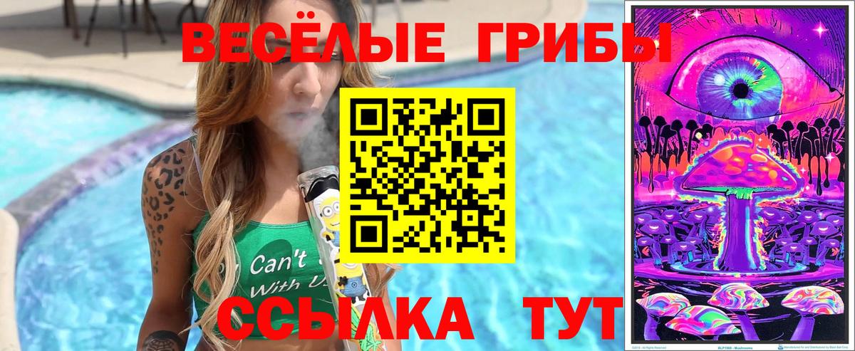 Галлюциногенные грибы Psilocybe Рославль